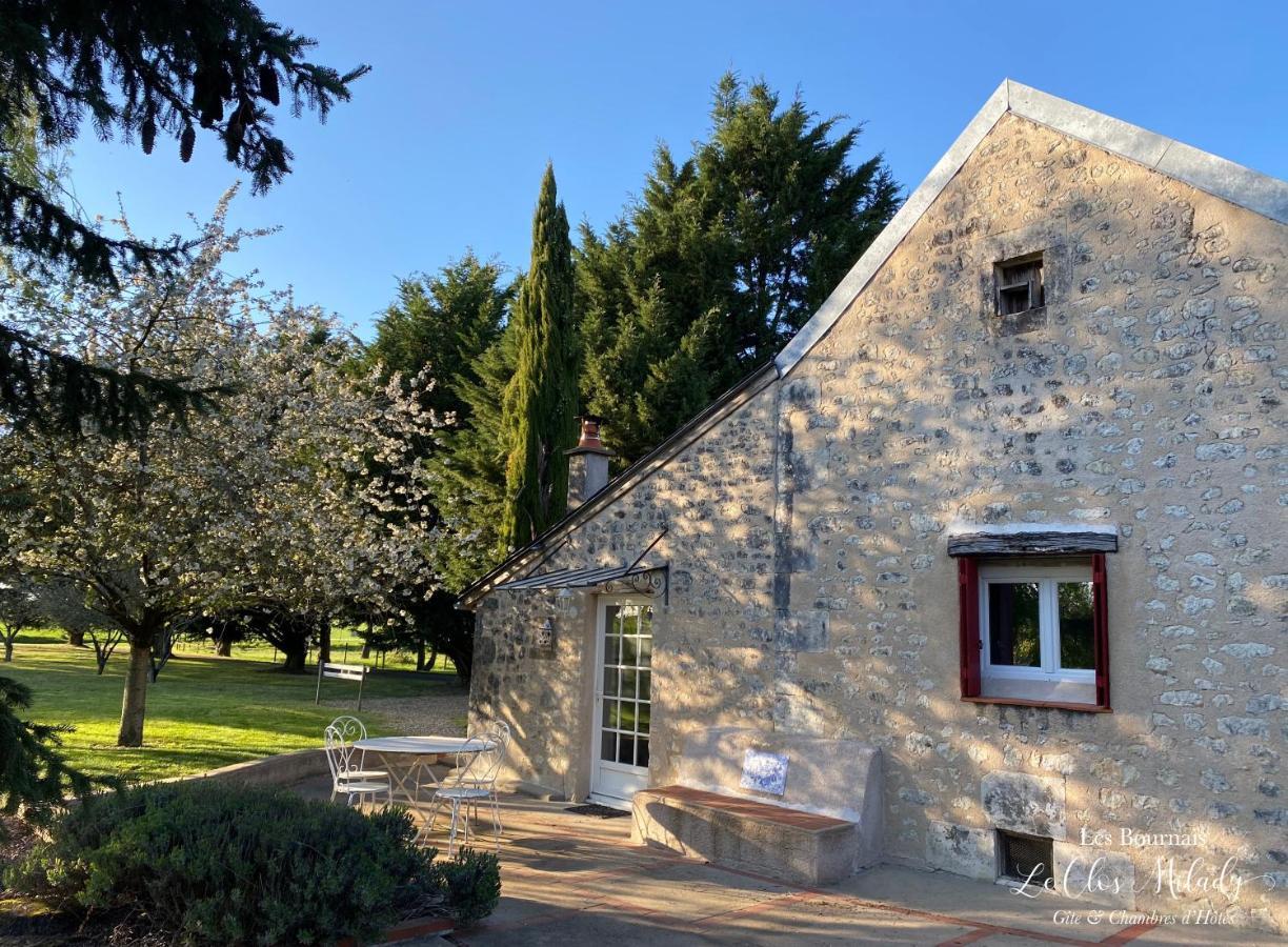 Chambres D'Hotes Les Bournais - Le Clos Milady L'Ile-Bouchard Екстериор снимка