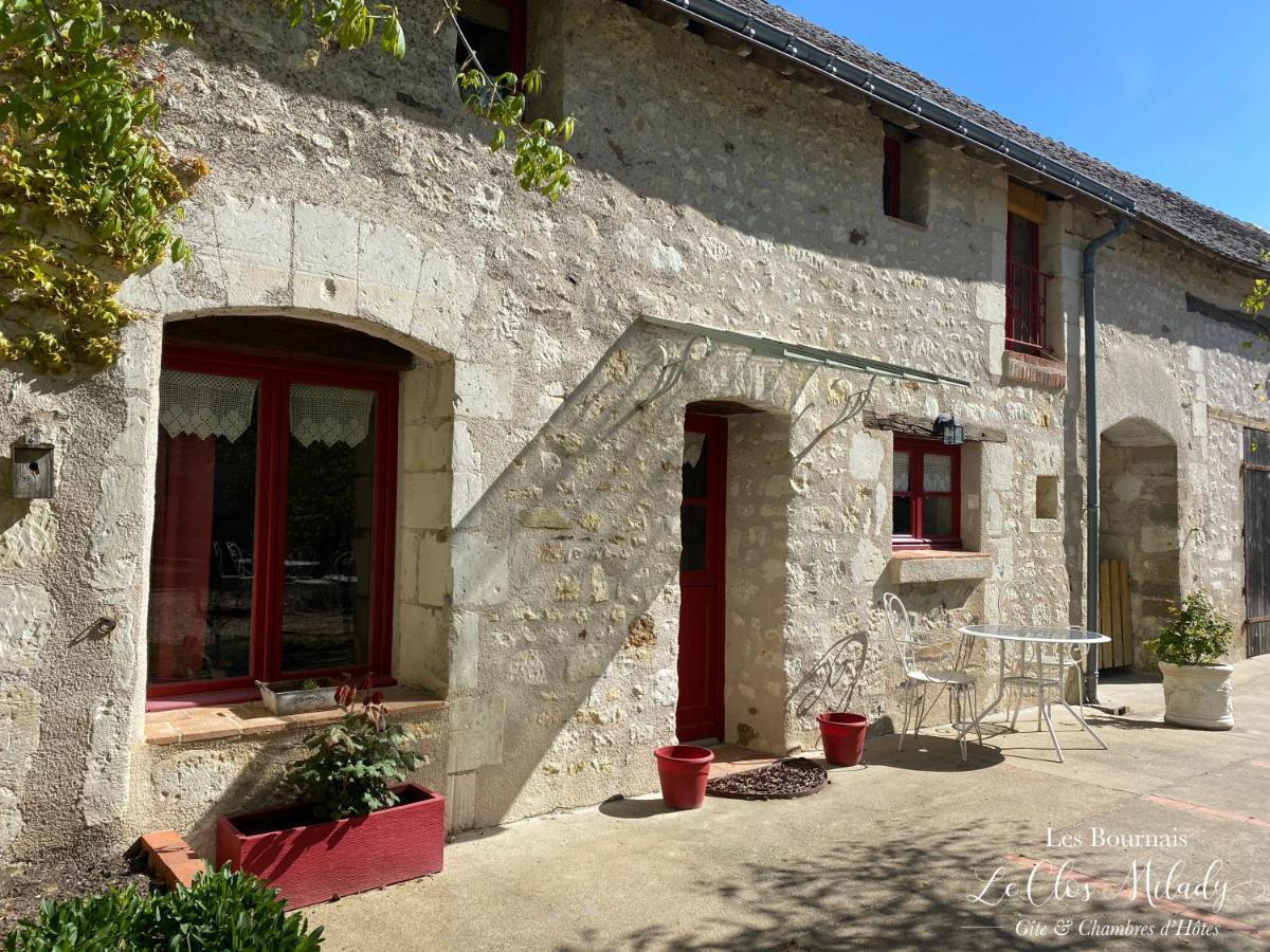 Chambres D'Hotes Les Bournais - Le Clos Milady L'Ile-Bouchard Екстериор снимка