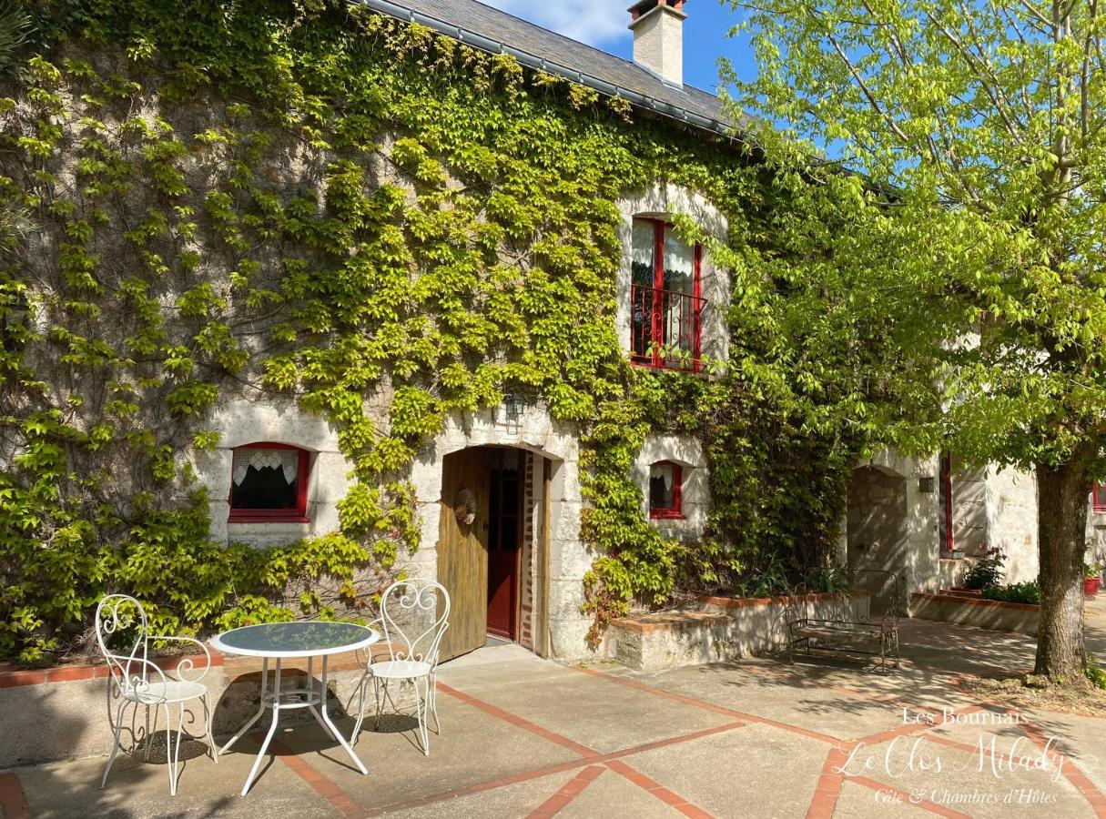 Chambres D'Hotes Les Bournais - Le Clos Milady L'Ile-Bouchard Екстериор снимка