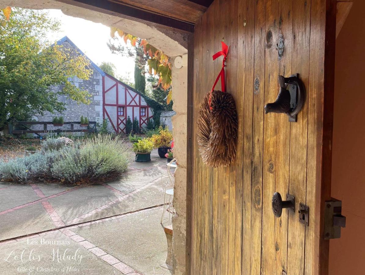 Chambres D'Hotes Les Bournais - Le Clos Milady L'Ile-Bouchard Екстериор снимка