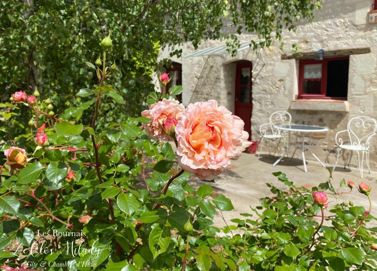 Chambres D'Hotes Les Bournais - Le Clos Milady L'Ile-Bouchard Екстериор снимка