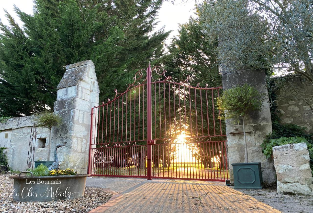 Chambres D'Hotes Les Bournais - Le Clos Milady L'Ile-Bouchard Екстериор снимка
