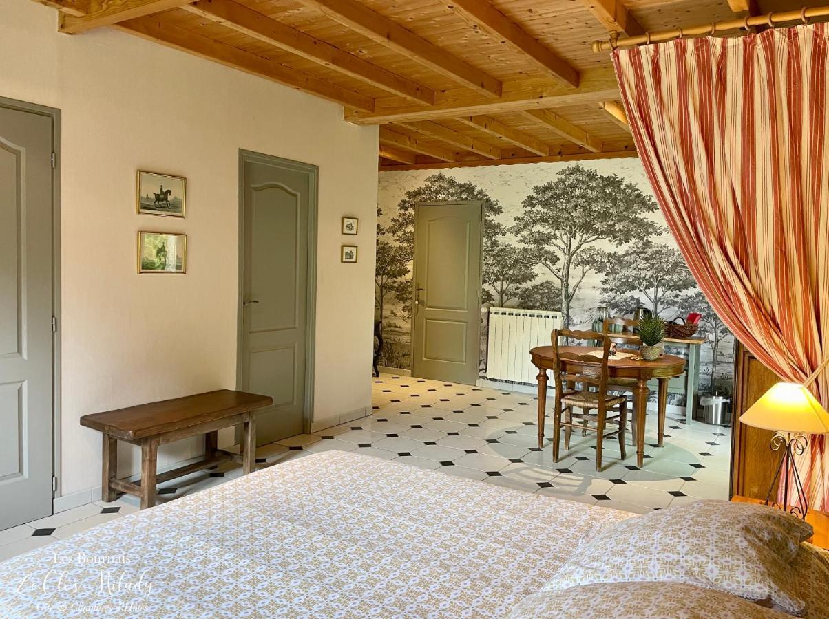 Chambres D'Hotes Les Bournais - Le Clos Milady L'Ile-Bouchard Екстериор снимка
