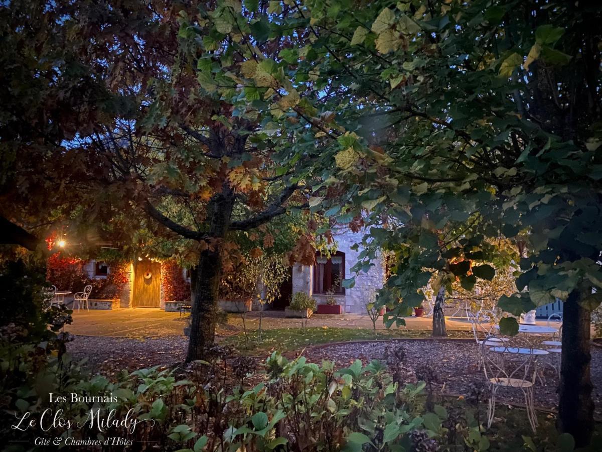 Chambres D'Hotes Les Bournais - Le Clos Milady L'Ile-Bouchard Екстериор снимка