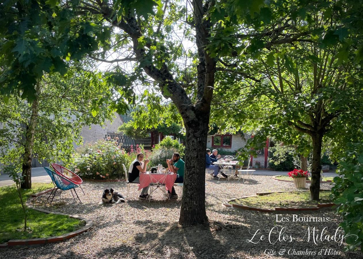 Chambres D'Hotes Les Bournais - Le Clos Milady L'Ile-Bouchard Екстериор снимка