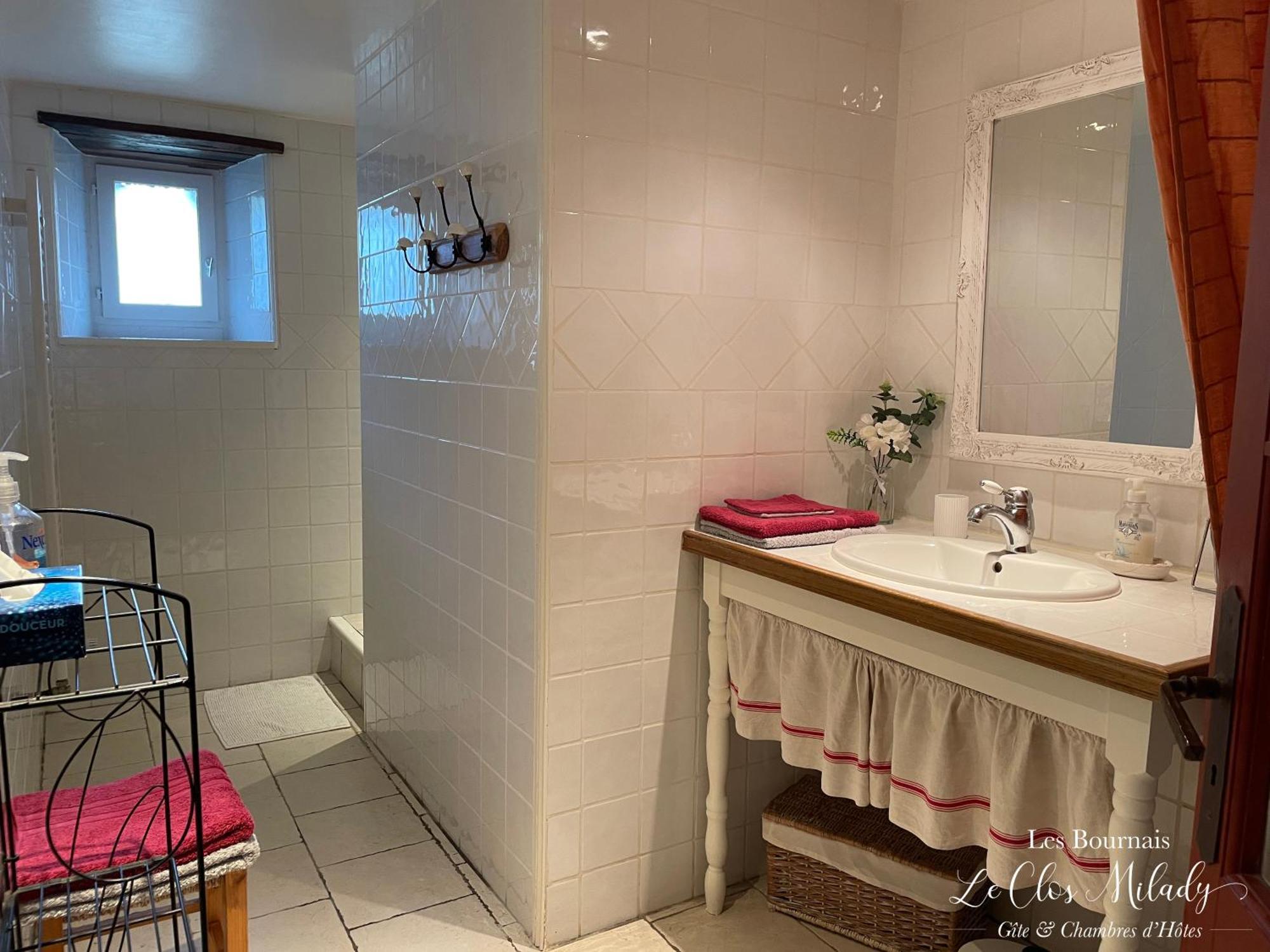 Chambres D'Hotes Les Bournais - Le Clos Milady L'Ile-Bouchard Екстериор снимка